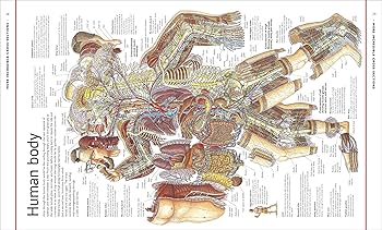 Amazon | Stephen Biesty's More Incredible Cross-sections (DK